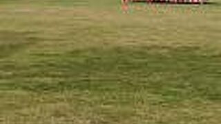 古くから存在するものの、古さはあまり感じません