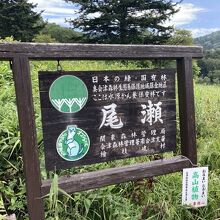 尾瀬だなぁって感じです。