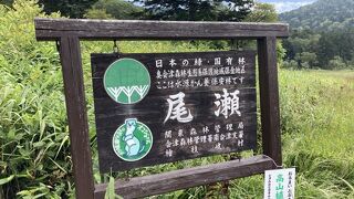 尾瀬沼から沼山峠へ続く湿原！尾瀬ヶ原に次ぐ広さです
