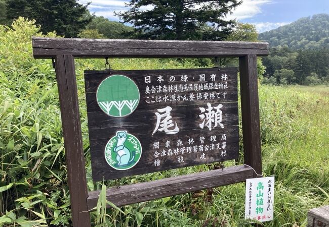 尾瀬沼から沼山峠へ続く湿原！尾瀬ヶ原に次ぐ広さです