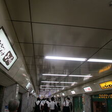 左手はコンパル