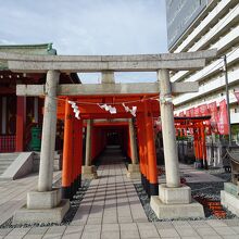 千本鳥居をくぐると