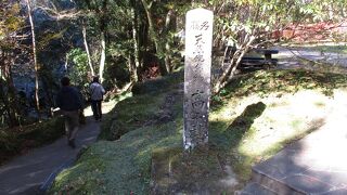 ピクニックや散策の場所