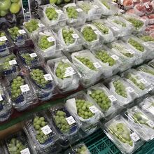 人気だったシャインマスカット