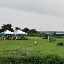 全部で36ホールある