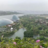 高層からのガーデンビュー
