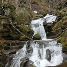 奥入瀬渓流寒沢の流れ クチコミ・アクセス・周辺情報｜奥入瀬・十和田