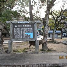 厳島合戦の古戦場駒ヶ林