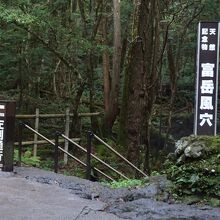 富岳風穴の入口です。