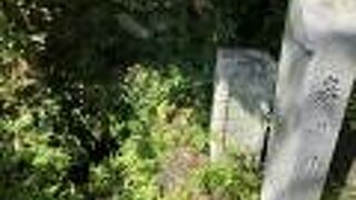 鎌倉十井(じっせい)の一つ:泉の井