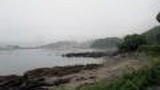 造船所のクレーンがたくさん見えました。