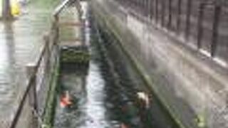 明治になってからの建物でした。