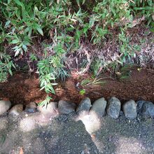 脇を流れる小川の水は綺麗で冷た～い