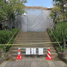 山門、茅葺屋根修理中でした