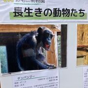 動物がますます大好きになる場所です。