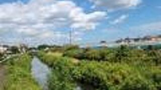 綺麗になった川