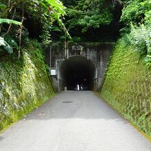 駐車場から鵜戸神宮へ行くまでにトンネルも歩きます