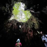 縄文杉コースで一番写真を撮られてるスポットかも