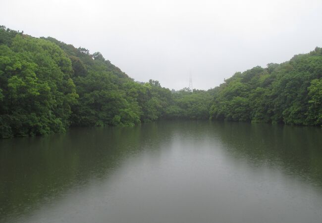 住宅地に近い自然公園です。