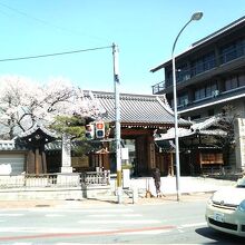 立派な山門に桜が華を添えていました