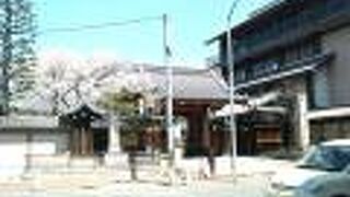 北野白梅町駅近く、立派な本堂や桜など雰囲気が素晴らしい穴場のお寺
