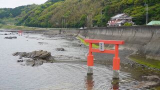１億年の大地の記録