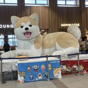 秋田犬・なまはげ・竿燈が迎えてくれる