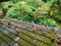 やちむん喫茶シーサー園
