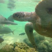 広々した水族館