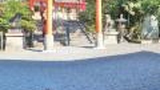 願いをかなえてくれる、うさぎのパワースポット