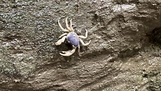 自然あふれるスポット