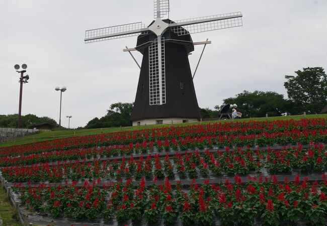 花博記念公園 鶴見緑地 クチコミ アクセス 営業時間 鶴見 城東 フォートラベル 花博記念公園 鶴見緑地 クチコミ アクセス 営業時間 鶴見 城東 フォートラベル