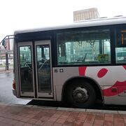 旭山動物園行きがあります