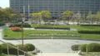 東公園に猫はいませんでした