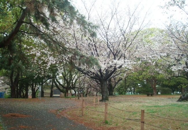 山王公園