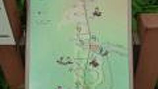 日光市霧降高原キスゲ平園地