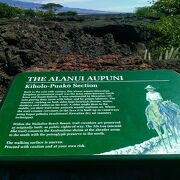 【クチコミ初登場】ハワイ島ワイコロアビーチリゾートにある溶岩台地トレイルです!!