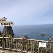 海がめっちゃ綺麗!