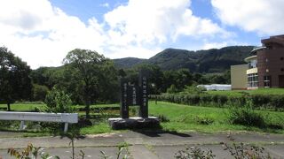 緑豊かで癒やされます。