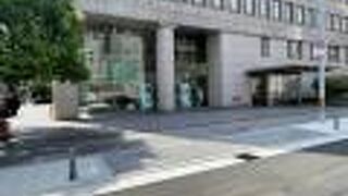 通りから展示が見えます