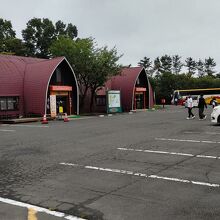 チーズなど乳製品を販売。