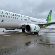 アジアなカラーリングの機体