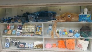 世界初の水族館