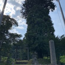 蓼科神社