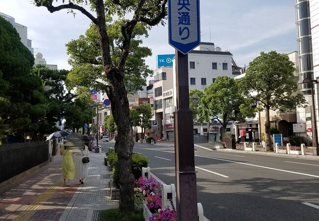 歩道沿いに鮮やかな花壇が