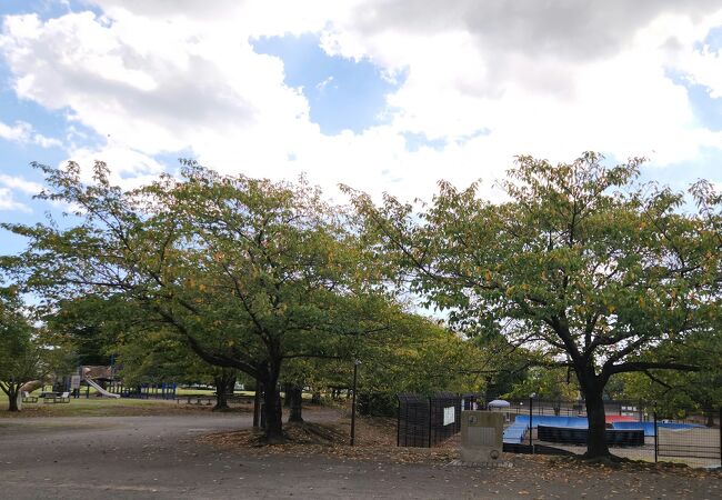 大きな公園