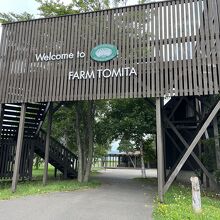 ファーム富田 ラベンダーイースト