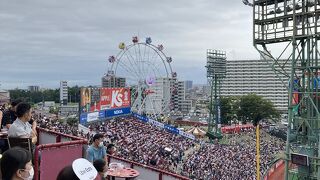 行きやすく、野球を知らない人でも楽しめる。