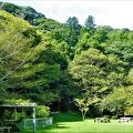 千葉県立館山野鳥の森