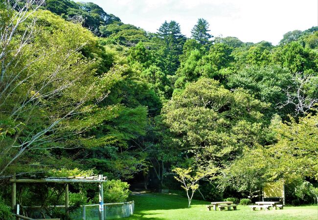 千葉県立館山野鳥の森